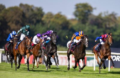 Has Saturday's top-class action influenced your thinking for the Arc and Champion Stakes? Our expert jurors have their say - Vimarsana News