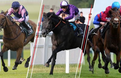 2023 Qipco Champion Stakes at Ascot: assessing the top contenders for Saturday's big race - Vimarsana News