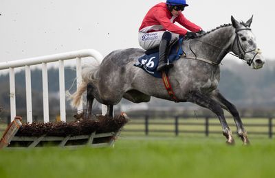 Tullyhill as short as 5-1 for the Supreme Novices' Hurdle after dominant front-running display - Vimarsana News