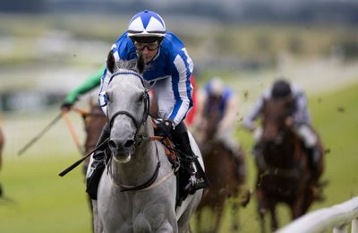 Nunthorpe or Flying Five? Art Power connections monitoring weather and likely opposition before deciding on next target - Vimarsana News