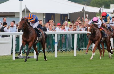 'Ryan will go forward on him' - Aidan O'Brien expects Paddington to handle small-field Coral-Eclipse - Vimarsana News