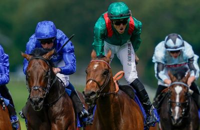 'He's everything you would want in a racehorse' - Vadeni to take up stud duties at Haras de Bonneval in 2024 - Vimarsana News