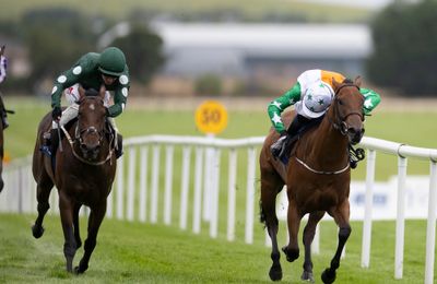 Classy catalogue unveiled for the Tattersalls Ireland September Yearling Sale - Vimarsana News