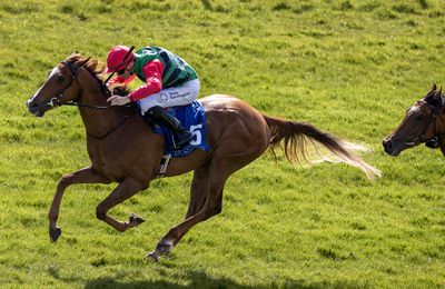 'Hopefully she has a good chance' - Goldana should be suited by conditions in search of second Group 3 win - Vimarsana News