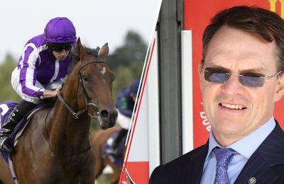 'He's a hugely progressive horse' - who will stake St Leger claim in Bahrain Trophy? - Vimarsana News