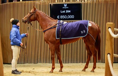 Grace among an amazing day for European recruits at Gulfstream - Vimarsana News