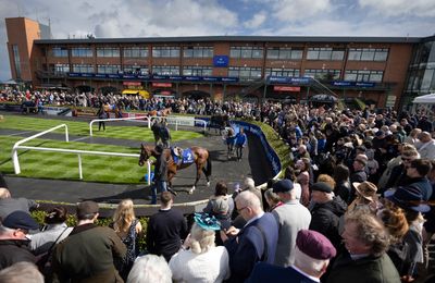Sectional timing to be rolled out at all Irish tracks, beginning at Fairyhouse and Tramore on New Year's Day - Vimarsana News