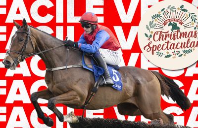 Arkle favourite fancied to make it a perfect ten for Willie Mullins in final ever Racing Post Novice Chase - Vimarsana News
