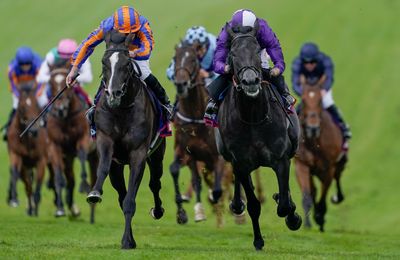 'I almost died, those final few yards were just unbelievable' - King Of Steel's breeder on Derby near-miss - Vimarsana News