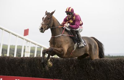 Siblings and relations to top-class performers among Tattersalls Ireland July Store Sale catalogue - Vimarsana News