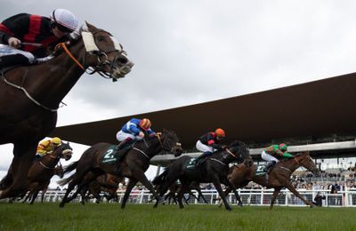 Going changes to soft at the Curragh as wet day set to alter conditions across Saturday's key fixtures - Vimarsana News