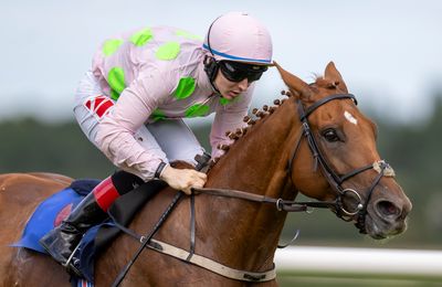 'I'm hopeful this is our best chance yet' - David Casey confident of big show from Vauban in Melbourne Cup - Vimarsana News