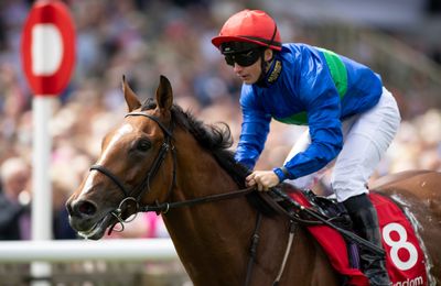 Dual Group 3 winner Wells Farhh Go to join Norton Grove Stud - Vimarsana News