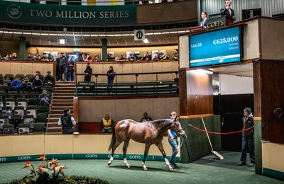 'I'm delighted we're looking' - Godolphin flex muscles at Orby with two colts snared for €1 million-plus spend - Vimarsana News