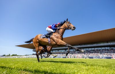 Can Luxembourg overcome a 92-day break or will Romantic Warrior defend his Hong Kong Cup title? - Vimarsana News