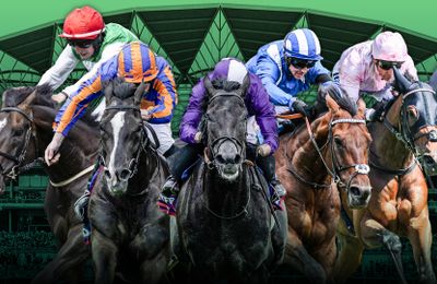 'It's the race of the season' - excitement builds for all-aged King George showdown to remember - Vimarsana News