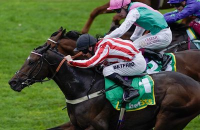 'This means a lot' - delight for Kublers as Astro King carries topweight to Cambridgeshire success - Vimarsana News