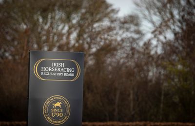 Banned point winner Flemensface leaves Lucinda Russell and returns to Ireland after Tattersalls voids sale - Vimarsana News