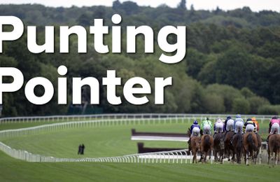 Punting pointer: the hotly fancied Irish Flat recruit making his hurdling debut for in-form trainer and new owners at Fontwell - Vimarsana News