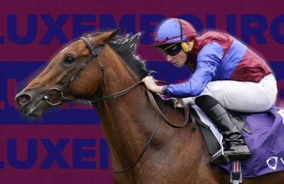 Top-level winners Luxembourg and Above The Curve clash in quality Mooresbridge Stakes - Vimarsana News