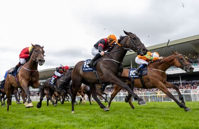 Dermot Weld reigns again at Galway while star hurdler Sharjah makes perfect start to chasing career - Vimarsana News