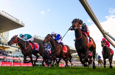 Warrior's battling triumph in Cox Plate a Hong Kong win made in Ireland - Vimarsana News