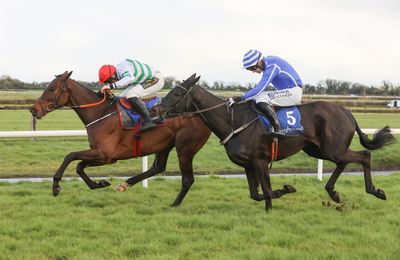 Potential stars Firefox and Ile Atlantique ready to square off in red-hot Lawlor's Of Naas - Vimarsana News