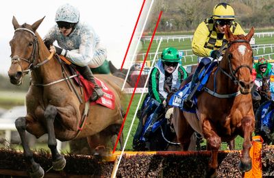 Confirmed runners and riders for day two of the Dublin Racing Festival - Vimarsana News