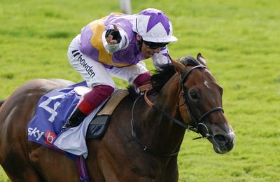 Kinross, Highfield Princess and Continuous among high-class contenders entered for big Hong Kong races in December - Vimarsana News