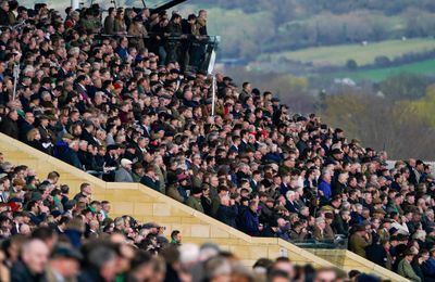 'Evidence from last season suggests he's thrown in off this mark' - why this horse can win at Cheltenham on Friday - Vimarsana News