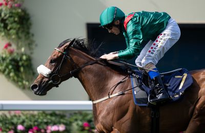 Coronation queen Tahiyra extends lead at the top of Cartier Horse of the Year standings - Vimarsana News