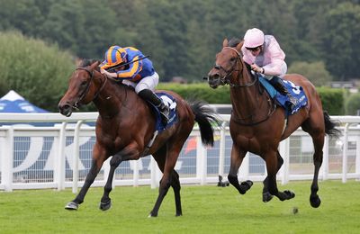 'It's likely to be the Sussex next, that's the way everyone is thinking' - prolific Paddington set for Glorious Goodwood - Vimarsana News