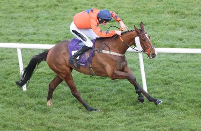 'We're probably edging towards the Grand Annual' - Madara's Cheltenham Festival target a little clearer - Vimarsana News