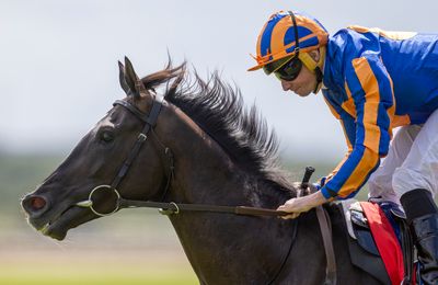 'His work has been brilliant' - dual Derby hero Auguste Rodin set for redemption mission at Leopardstown - Vimarsana News