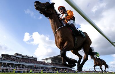 Corach Rambler heads depleted Grand National challenge as only 31 of 85 entries are trained in Britain - Vimarsana News