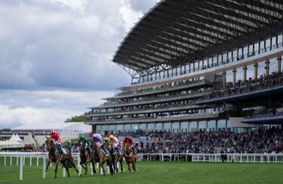 Ground quickens at Ascot ahead of a King George for the ages - Vimarsana News