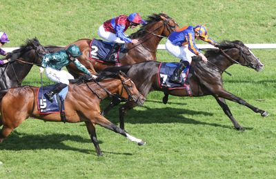 'It's very possible he will go straight to America' - Breeders' Cup next on the agenda for Auguste Rodin - Vimarsana News