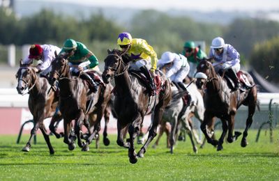 'She deserved a Group 1' - Sea Silk Road lands emotional win in Prix de Royallieu - Vimarsana News