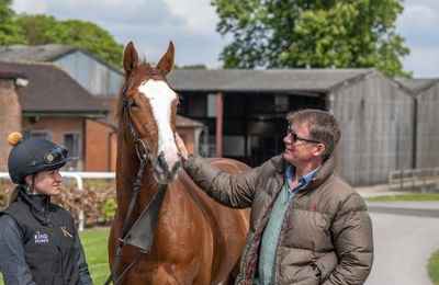 'We expect them to improve throughout the year' - excitement for Kameko's first two-year-olds at Kingsclere - Vimarsana News
