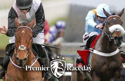 'We have a crown to defend' - Marie's Rock primed for Bob Olinger clash in Relkeel Hurdle - Vimarsana News