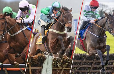 The eyecatching weekend entries who could play a role at the Cheltenham Festival - Vimarsana News