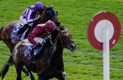 'He's made massive strides through the summer' - Melrose winner Middle Earth to be supplemented for St Leger - Vimarsana News
