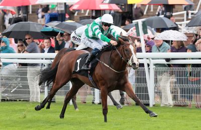 Two Amo Racing runners withdrawn and trainer fined for not entering parade ring on time for Group 3 - Vimarsana News