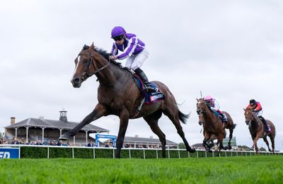 'It's all about Continuous' - St Leger hero to be supplemented for Arc as Aidan O'Brien relies on sole runner - Vimarsana News