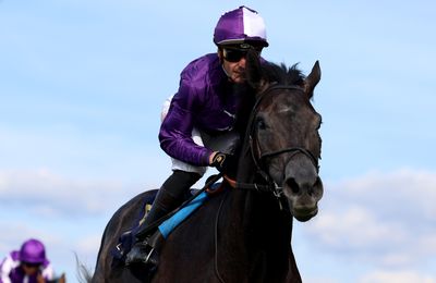 Roger Varian to give King Of Steel 'more time' and miss York in favour of Irish Champion Stakes - Vimarsana News