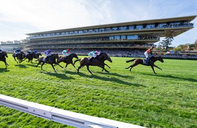 'The logical next step is the Breeders' Cup' - Onesto set for US mission after finishing third in the Arc - Vimarsana News