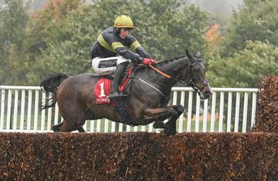 Gavin Cromwell tempted into handicap route for Arkle hope as Gordon Elliott reacts to handicap rises - Vimarsana News