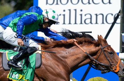 French 2,000 Guineas hope Isaac Shelby sold to Qatar's Wathnan Racing - Vimarsana News