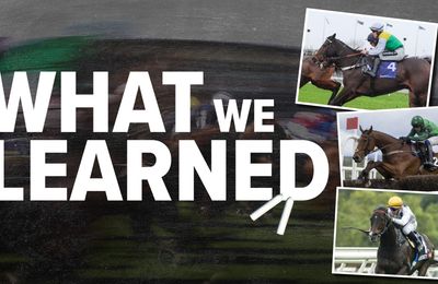 Locals dominate at Sha Tin, Hemmings silks shine bright and El Fabiolo's cool at Cork - three things we learned this week - Vimarsana News