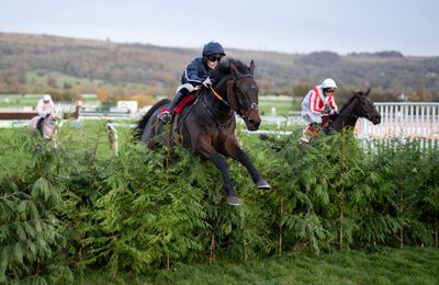 Mouse Morris strikes again as Foxy Jacks lands Cross Country handicap chase - Vimarsana News